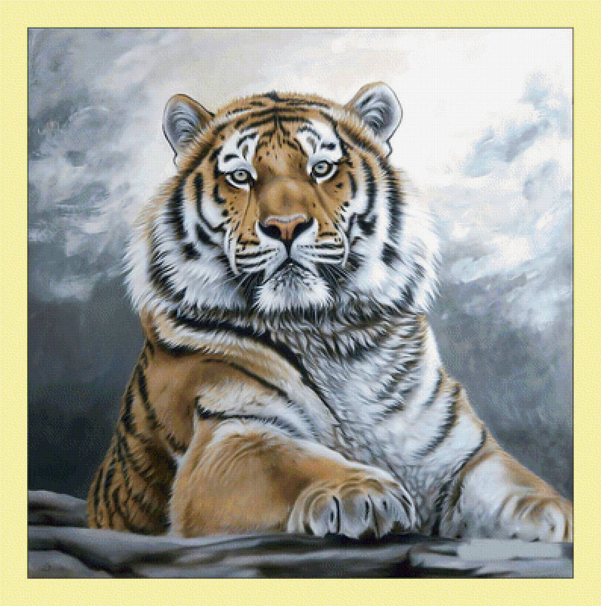 Тигр. - животные, тигр, хищник, взгляд - предпросмотр