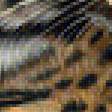 Предпросмотр схемы вышивки «Леопард.» (№1994833)