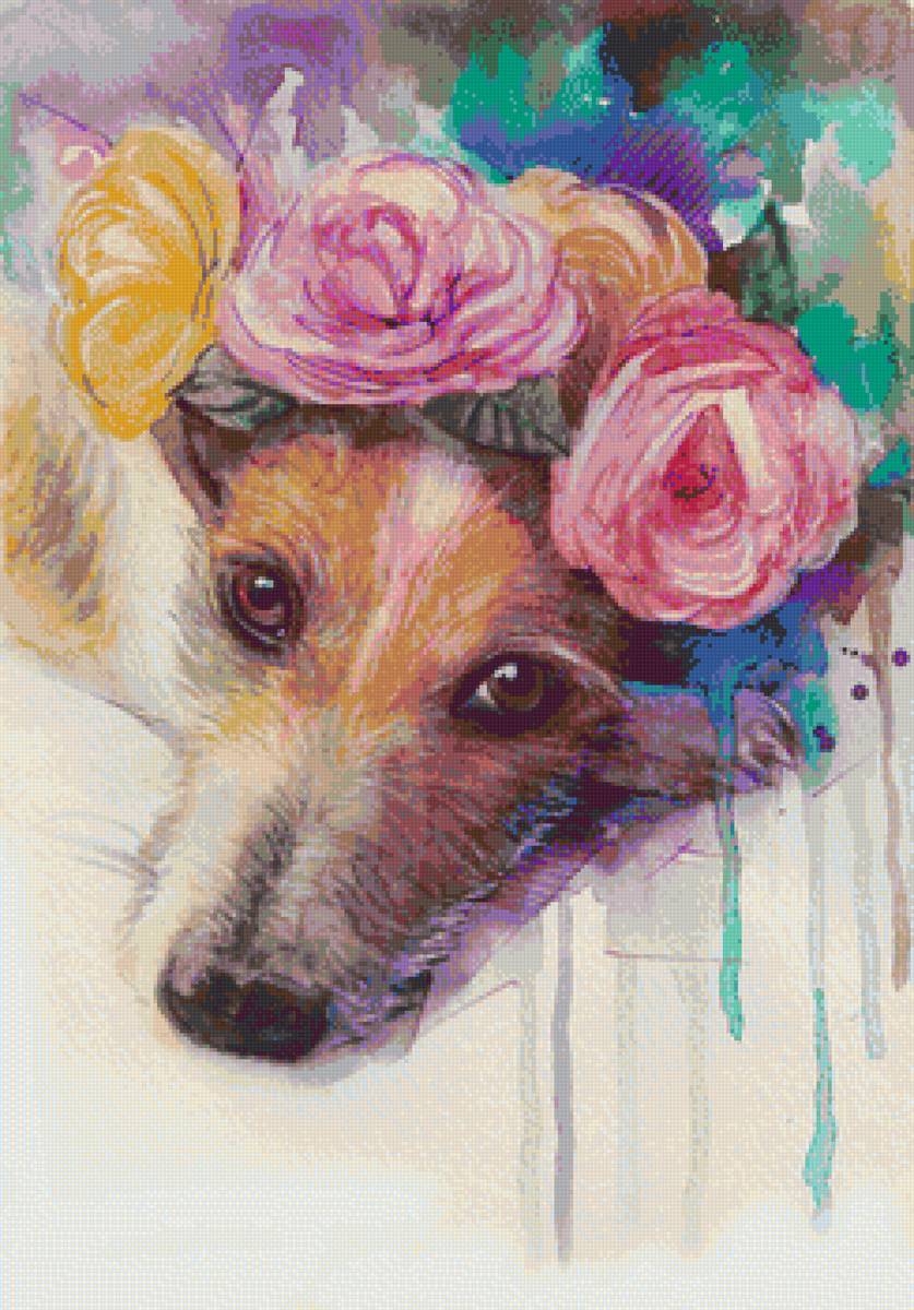 dog flowers - flowers dog - предпросмотр