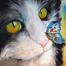 котик с бабочкой