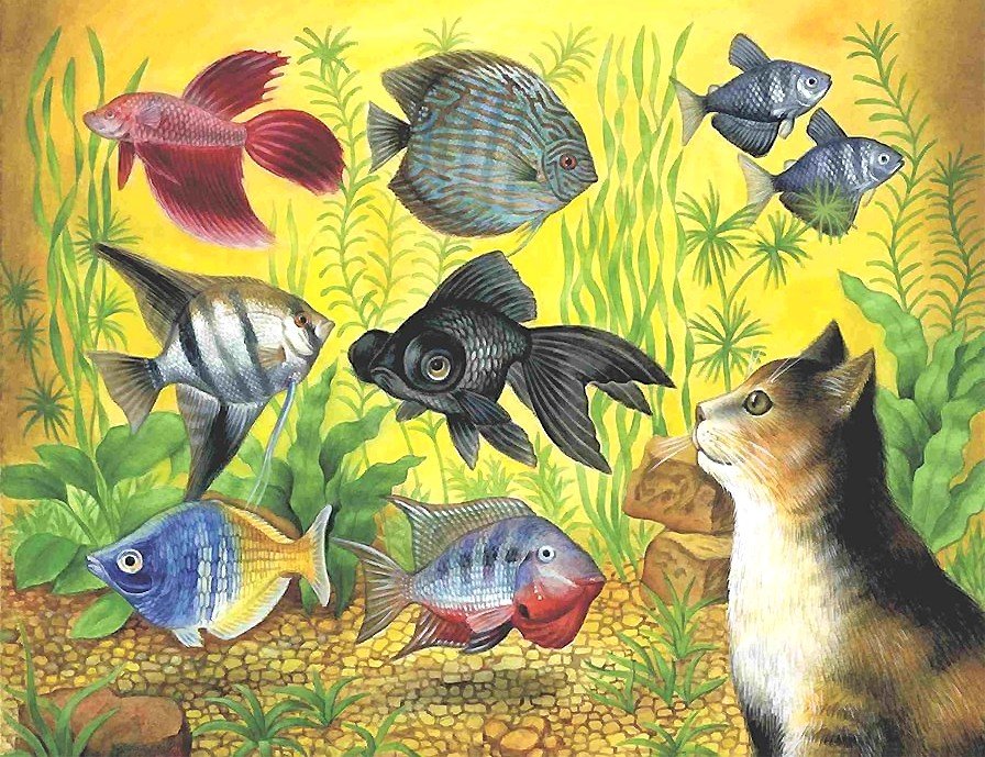 кошка и рыбки - рыбки, кошки - оригинал