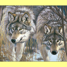 Оригинал схемы вышивки «Волки. Пара.» (№1995424)