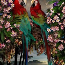 Пара попугаев в цветах
