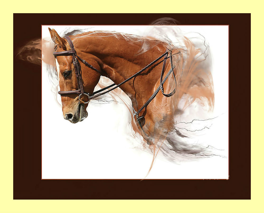 Конь. - лошадь, животные, живопись, конь - оригинал