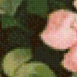 Предпросмотр схемы вышивки «Шиповник розовый» (№1999284)