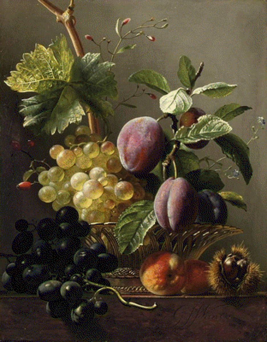 картина - слива, виноград, фрукты - предпросмотр