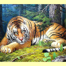 Оригинал схемы вышивки «Тигр.» (№2000332)