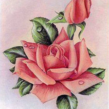 Оригинал схемы вышивки «Розы» (№2000526)