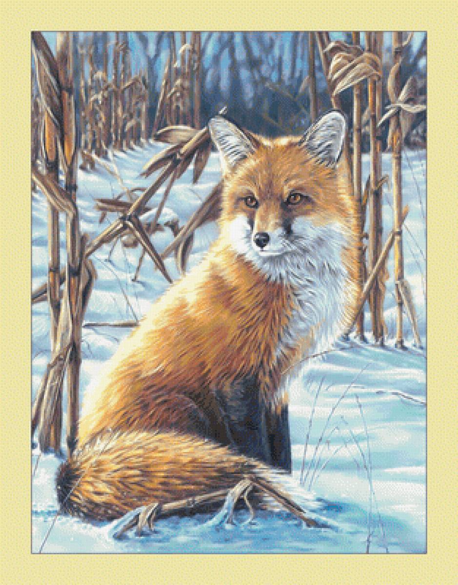 Лиса. - хищник, зима, живопись, снег, лиса - предпросмотр