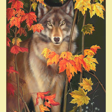 Схема вышивки «Волк в осеннем лесу.»