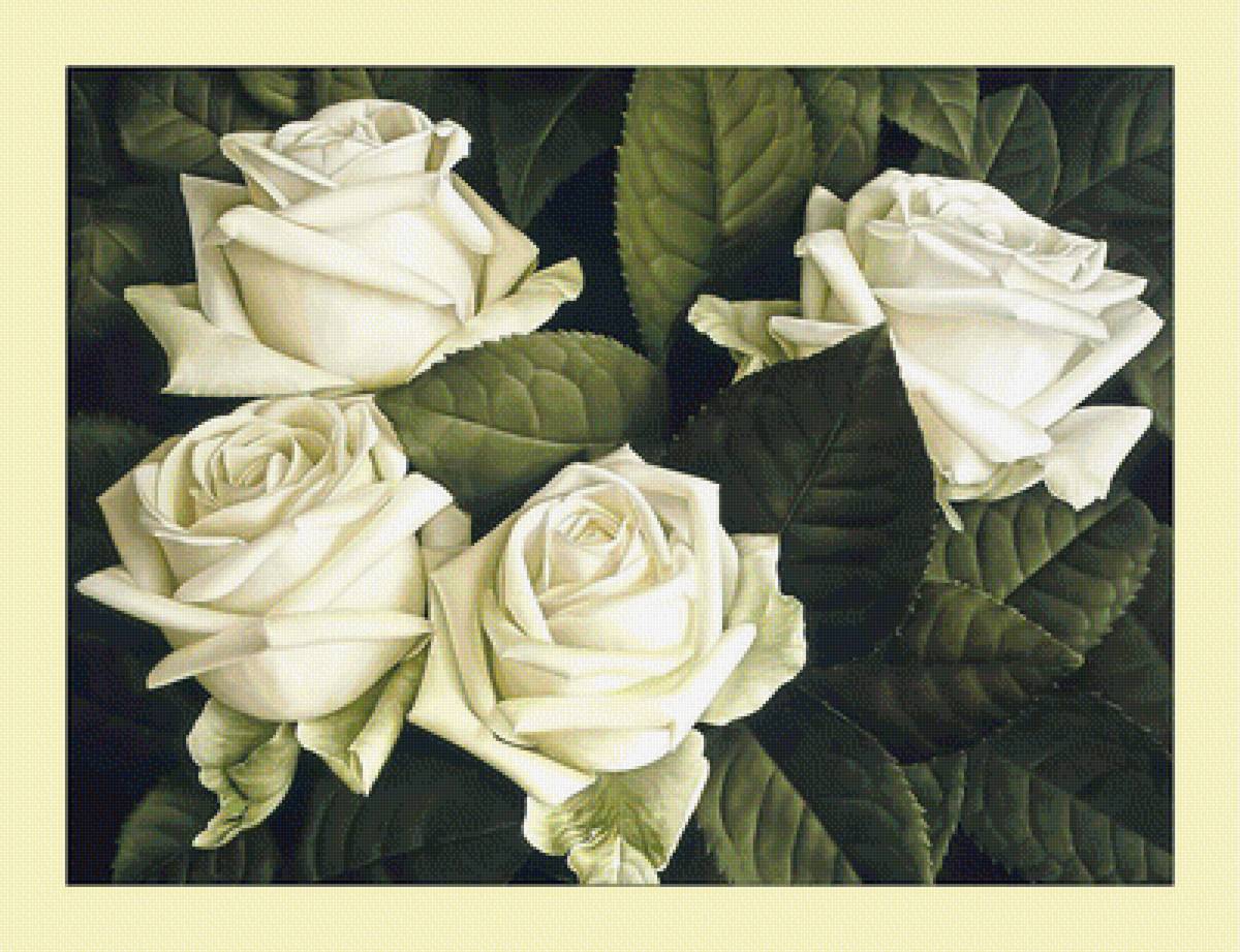 Белые розы. - цветы, розы, белые, букет, живопись - предпросмотр