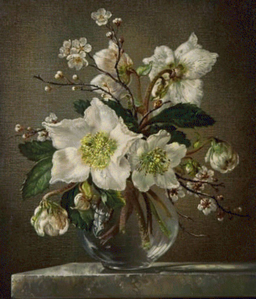 Christmas Roses - by cecil kennedy (british, 1905-1997) - предпросмотр