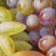 Предпросмотр схемы вышивки «виноград» (№2005479)