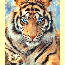 Оригинал схемы вышивки «Тигр.» (№2005895)