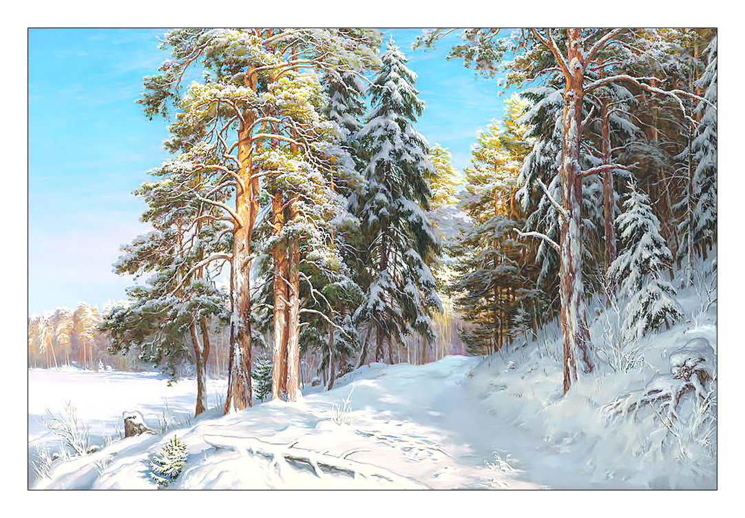 Зимний лес. - природа, живопись, пейзаж, зима, сосны, снег, лес - оригинал