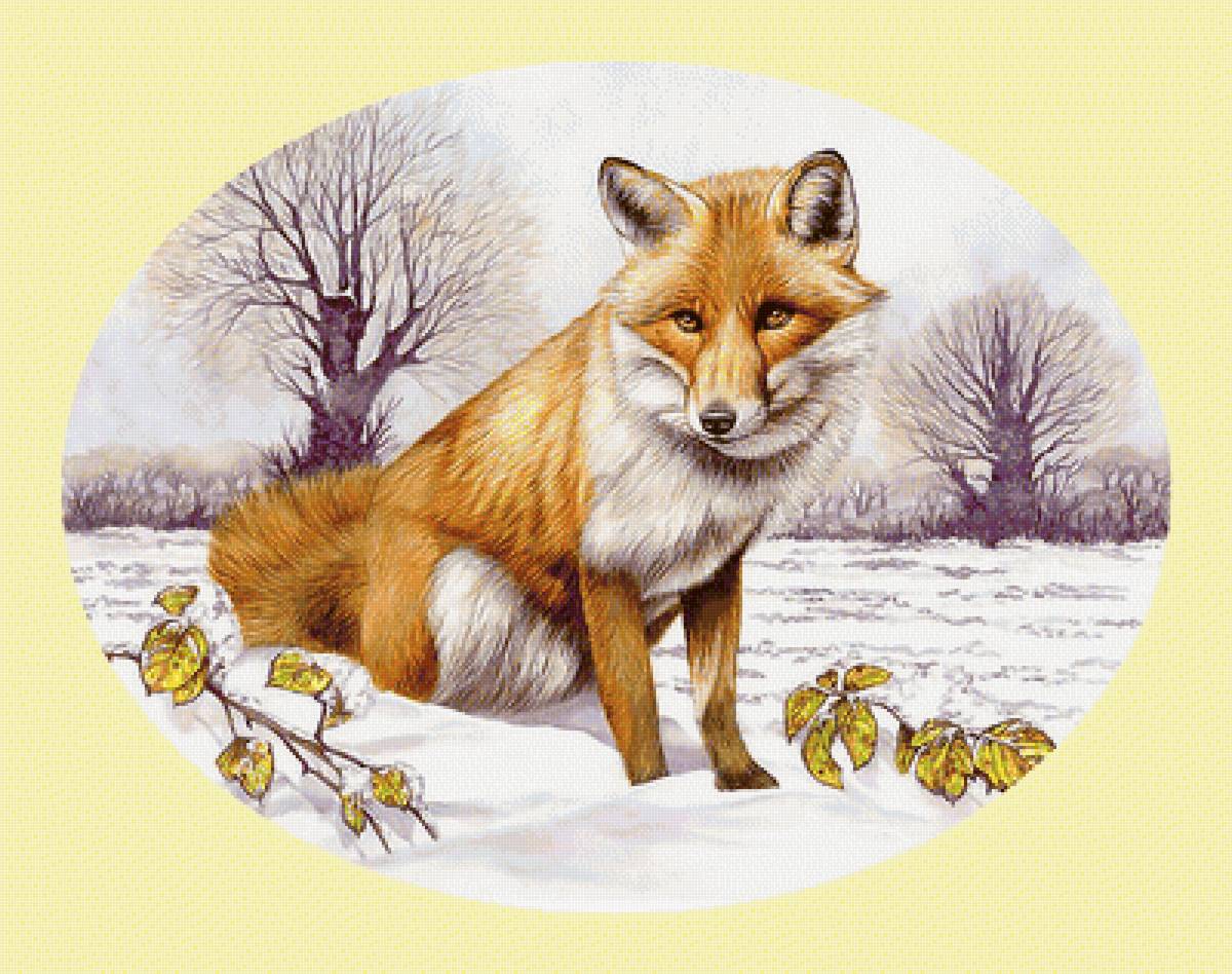 Лиса. - хищник, пейзаж, снег, лиса, животные - предпросмотр