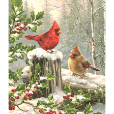 Оригинал схемы вышивки «Рождественские кардиналы.» (№2007320)