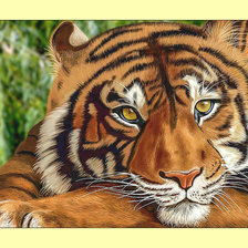 Оригинал схемы вышивки «Тигр.» (№2007328)