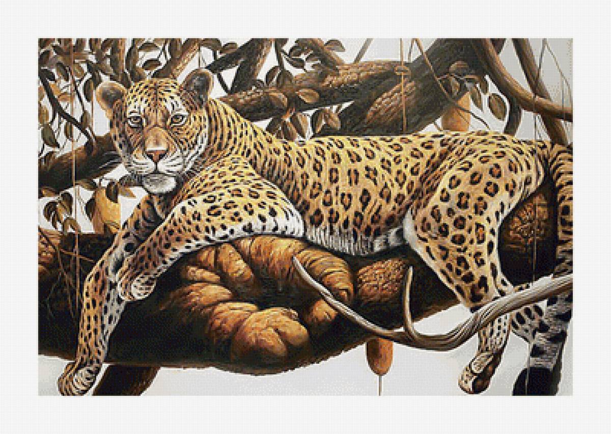 Леопард. - хищник, дерево, животные, леопард - предпросмотр