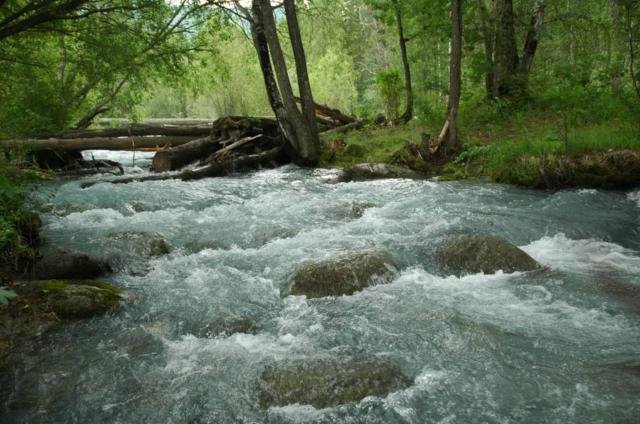 Горная река - река, лес, природа - оригинал