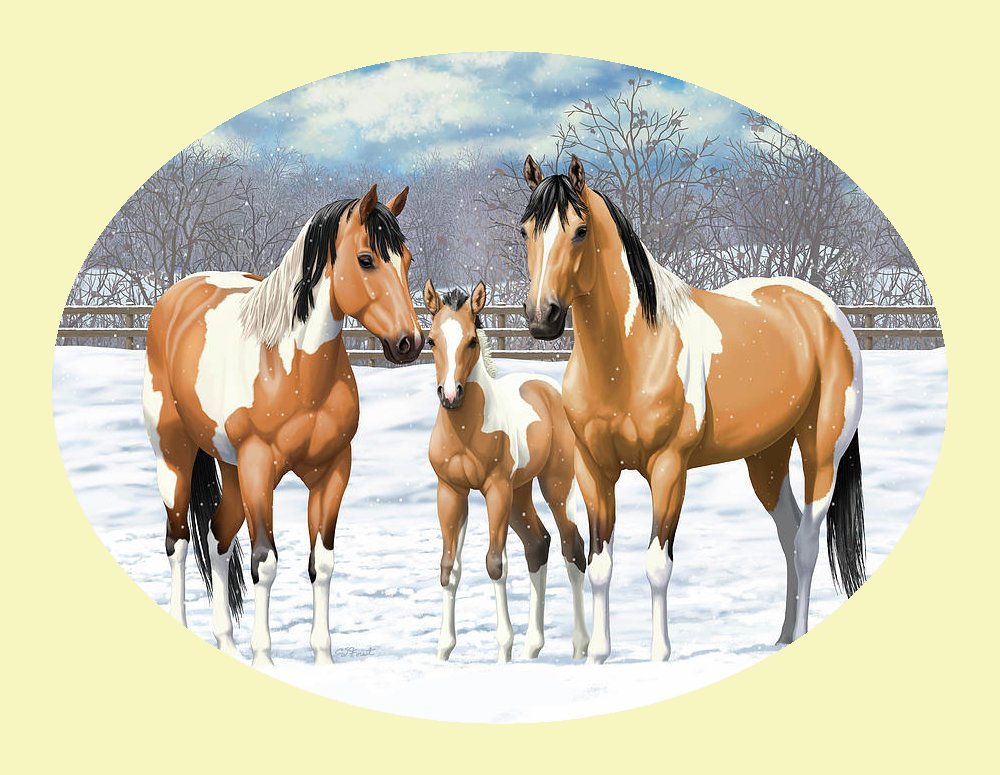Лошади. - лошади, животные, снег, пейзаж, кони, зима - оригинал