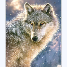 Оригинал схемы вышивки «Волк.» (№2010194)