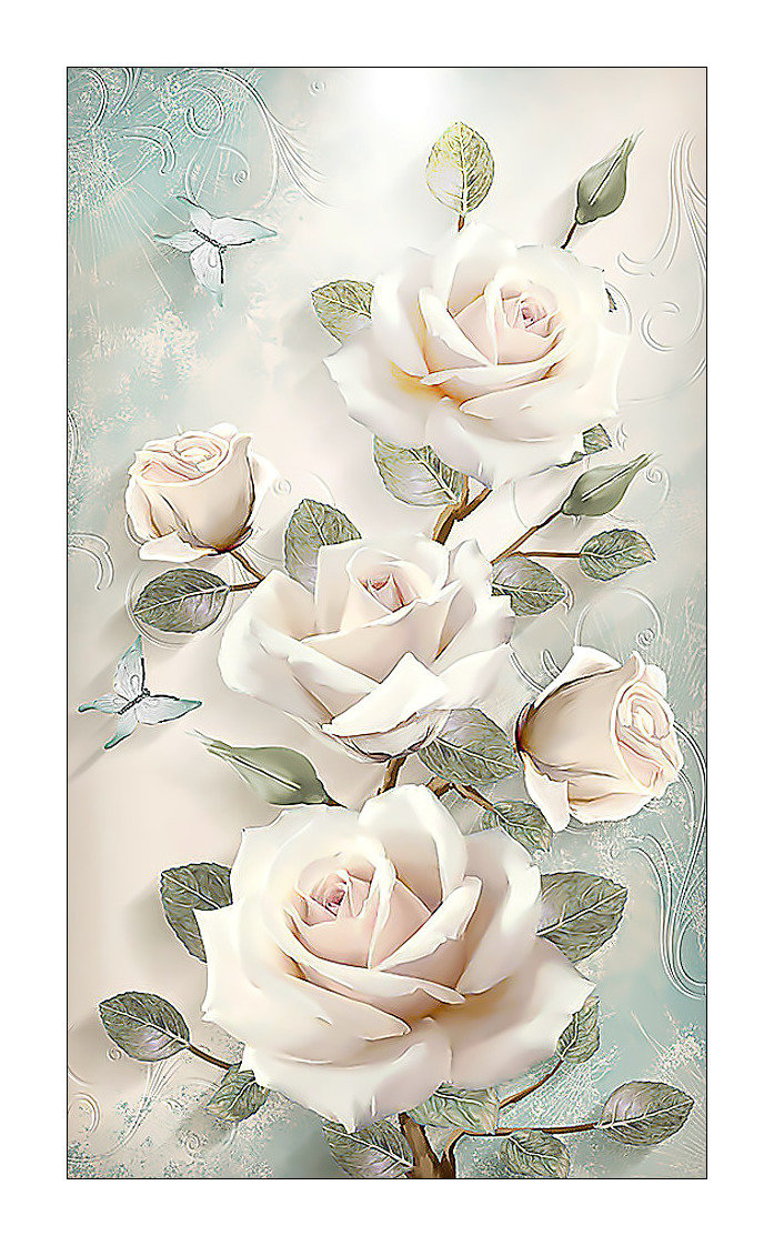 Белые розы. - белые, розы, цветы - оригинал