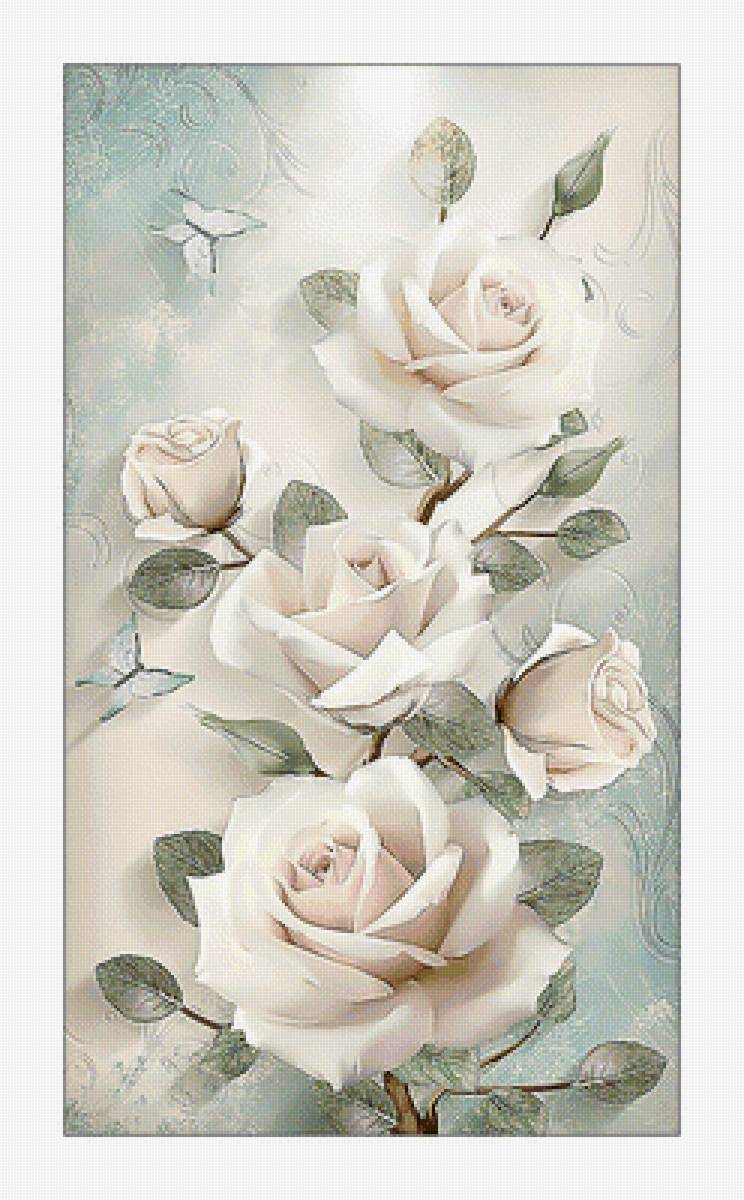 Белые розы. - цветы, розы, белые - предпросмотр
