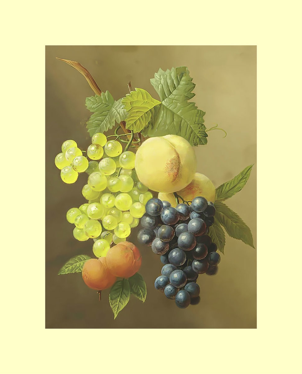 Виноград. - живопись, виноград, фрукты, ягоды, абрикосы - оригинал