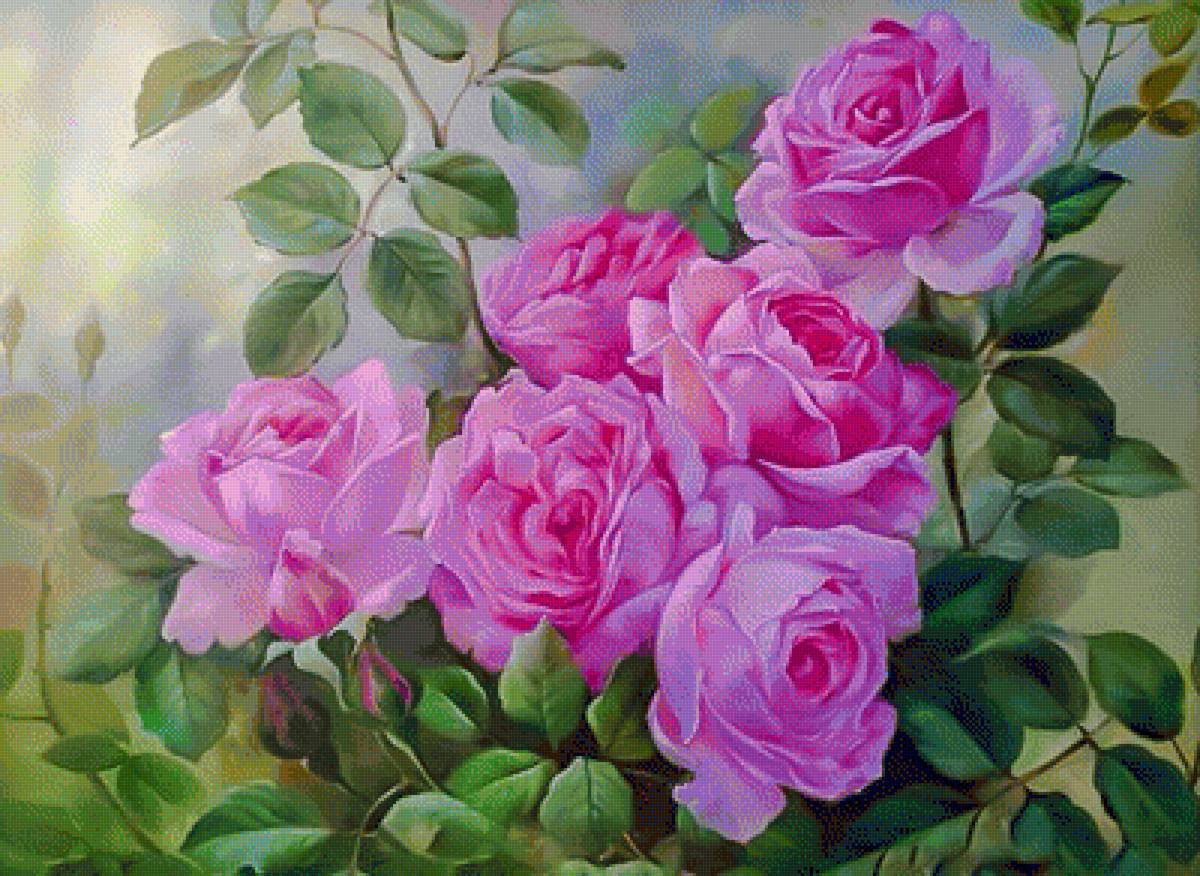 Beautiful Roses. - flowers and gardens. - предпросмотр