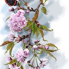 Схема вышивки «kvety,motýl»