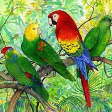 Оригинал схемы вышивки «попугаи» (№2015108)