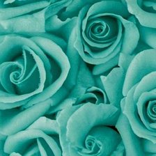 Оригинал схемы вышивки «Розы» (№2019018)