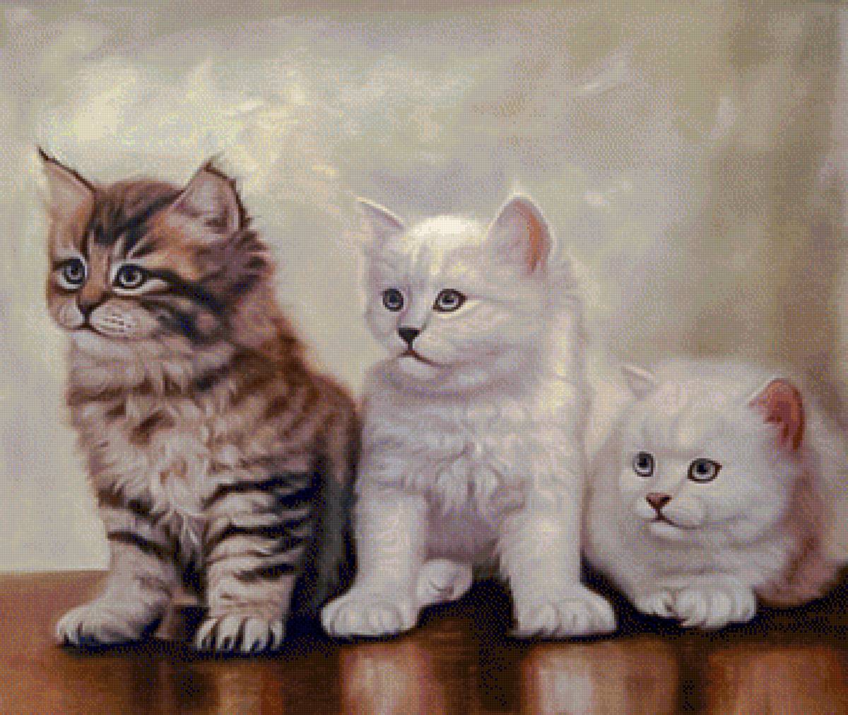 Kittens. - animals. - предпросмотр