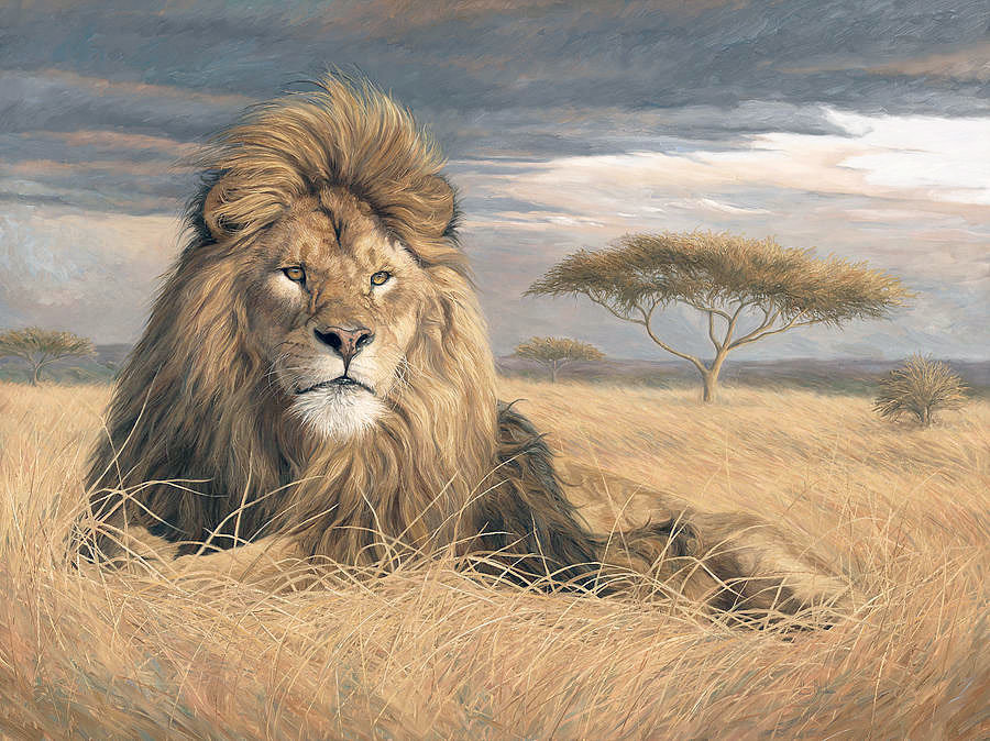 Лев - лев, животные, природа - оригинал