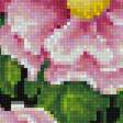 Предпросмотр схемы вышивки «kvety» (№2021319)