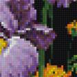 Предпросмотр схемы вышивки «kvety» (№2021323)