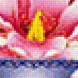 Предпросмотр схемы вышивки «váza,kvety» (№2021331)