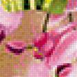 Предпросмотр схемы вышивки «váza,kvety» (№2021349)