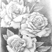 Схема вышивки «розы карандашом»