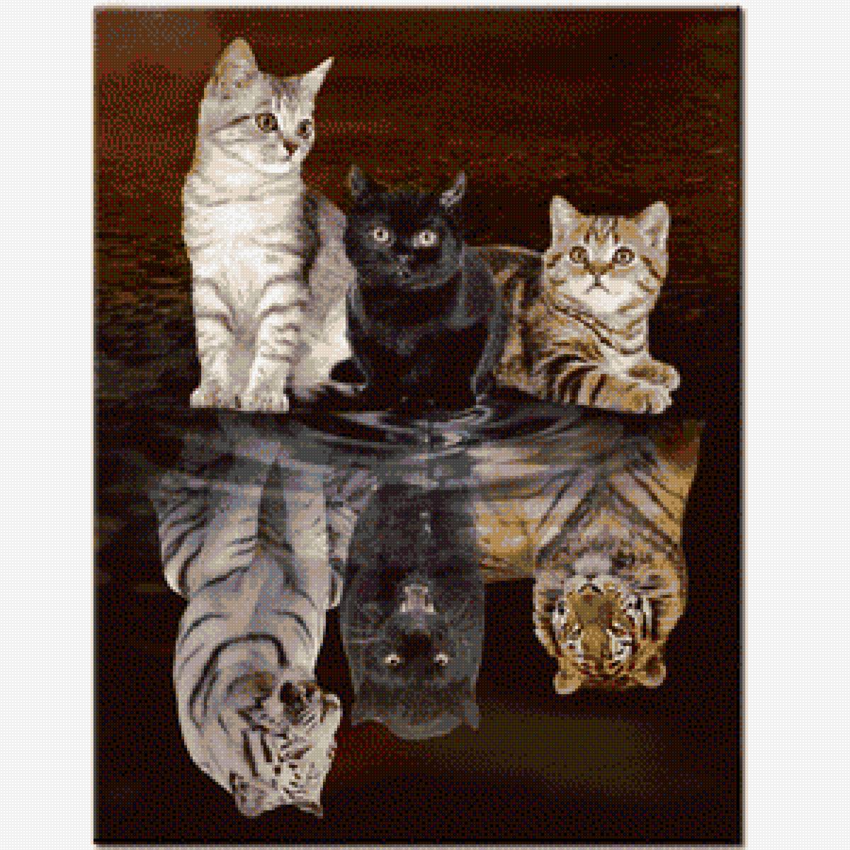 Кошачьи отражения - львица, коты, тигрица, лужа, пума, отражение - предпросмотр