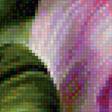 Предпросмотр схемы вышивки «Тюльпаны.» (№2022459)