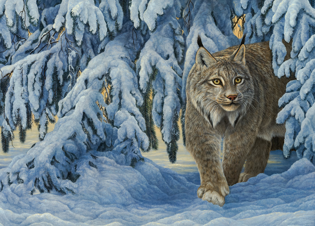 Evening Glow Lynx. - anna widmer paintings.snowscapes.animals. - оригинал