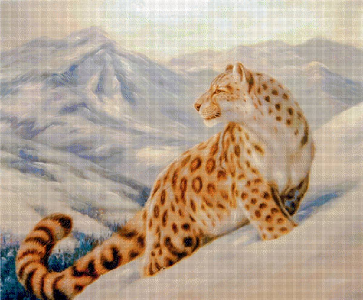 Snow Leopard. - snowscenes.animals. - предпросмотр