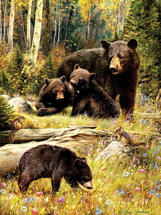 Семья на прогулке - лес, медвежата, фауна, медведь - оригинал