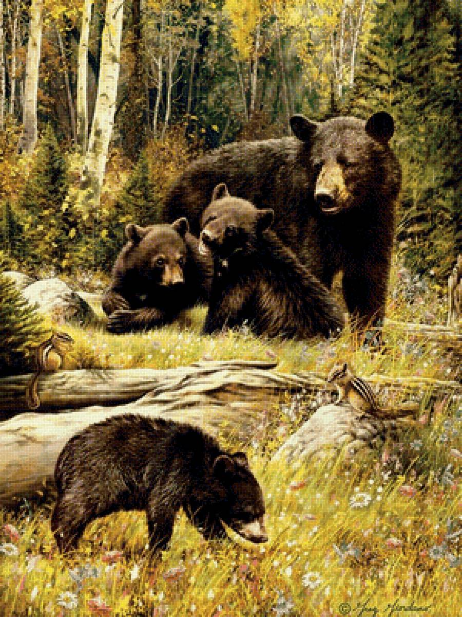 Семья на прогулке - фауна, лес, медвежата, медведь - предпросмотр