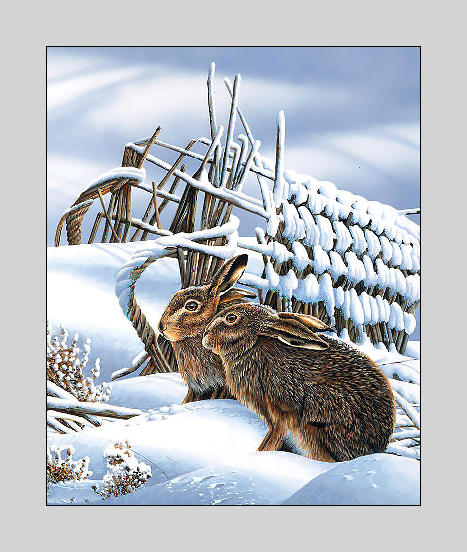 Зимние зайцы. - живопись, сугробы, зима, животные, снег, зайцы - оригинал