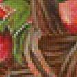 Предпросмотр схемы вышивки «Яблочный натюрморт.» (№2026749)