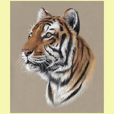 Оригинал схемы вышивки «Тигр.» (№2027867)