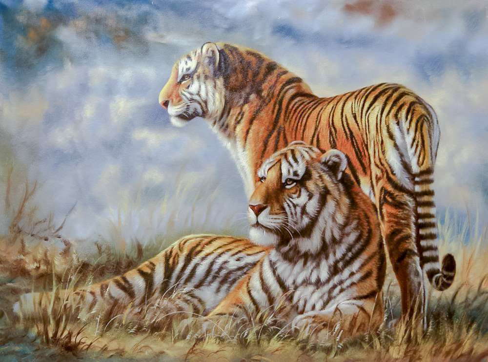 Couple Tigers. - augusto javino bruno painter.scenarys.animals. - оригинал